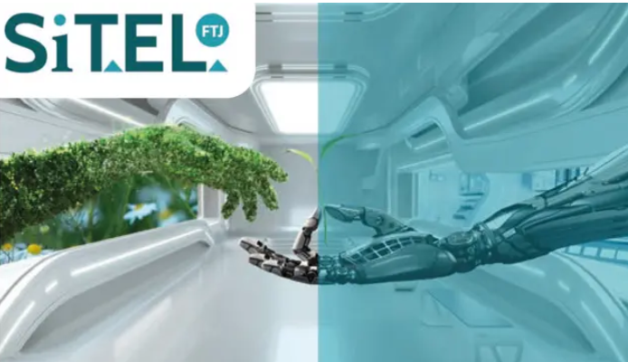 Visuel du site Sitel FTJ