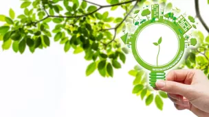 Visuel avec les couleurs vert et blanc, montre sur la droite devant un feuilage