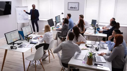 professionnalisation_2